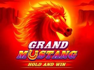 Grand Mustang thumbnail